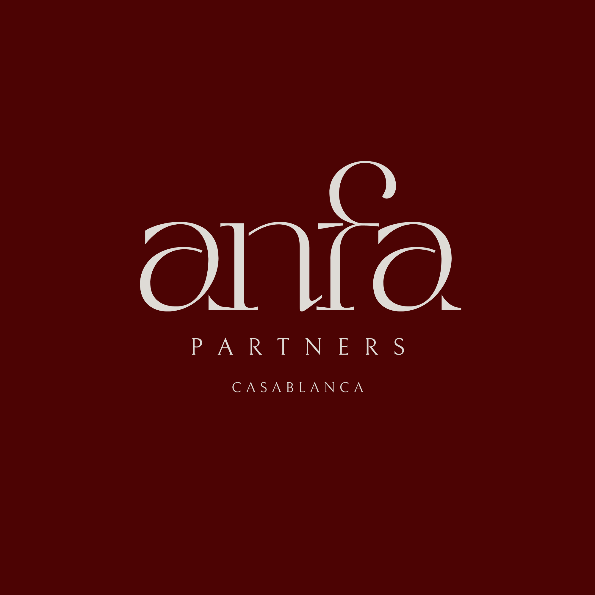 Anfa Partners